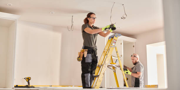 Best Generator Installation Services  in Mills River, NC
